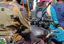 Mula de pruebas cazada entre el tráfico indio
