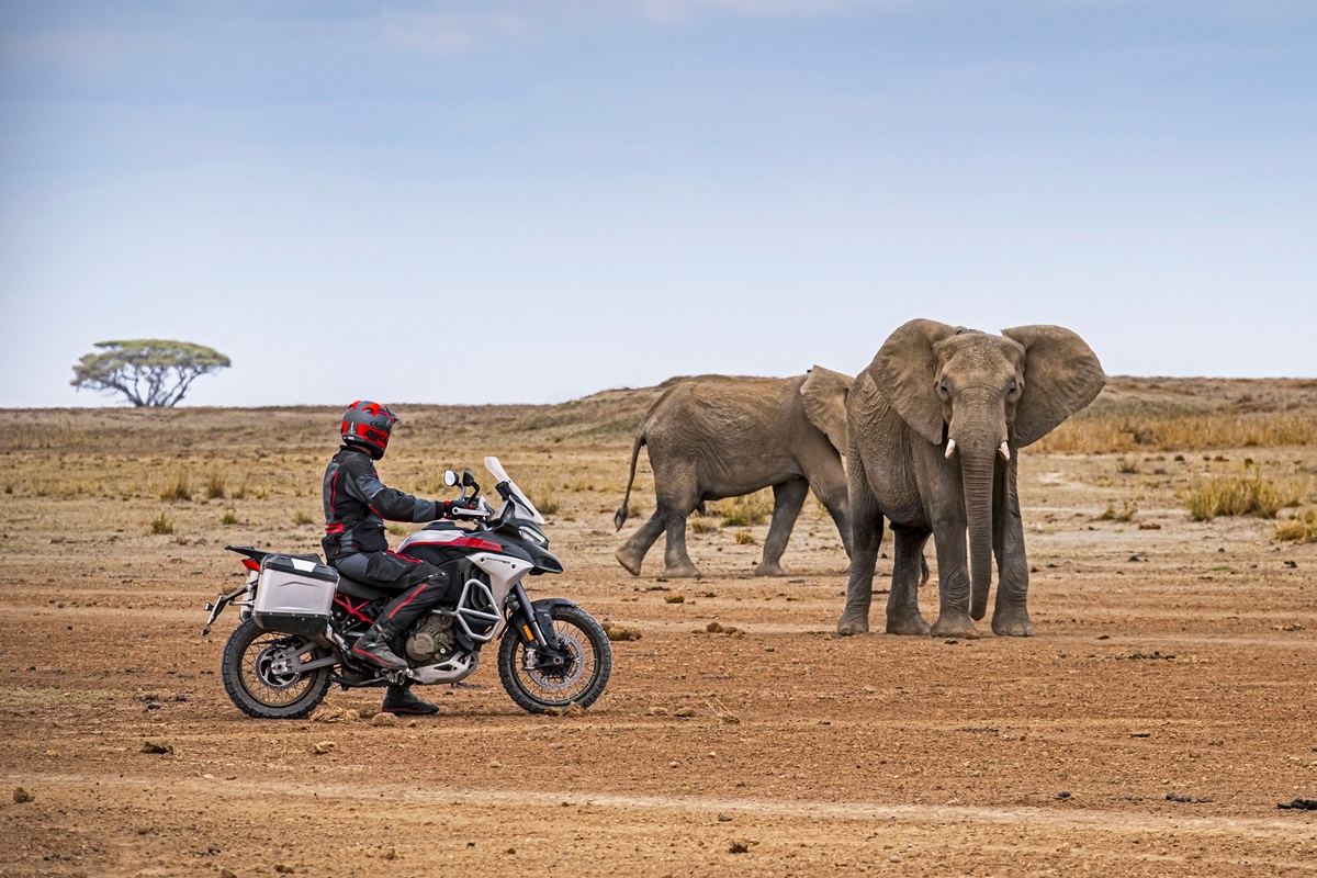 Ducati MultiStrada V4 Rally en acción