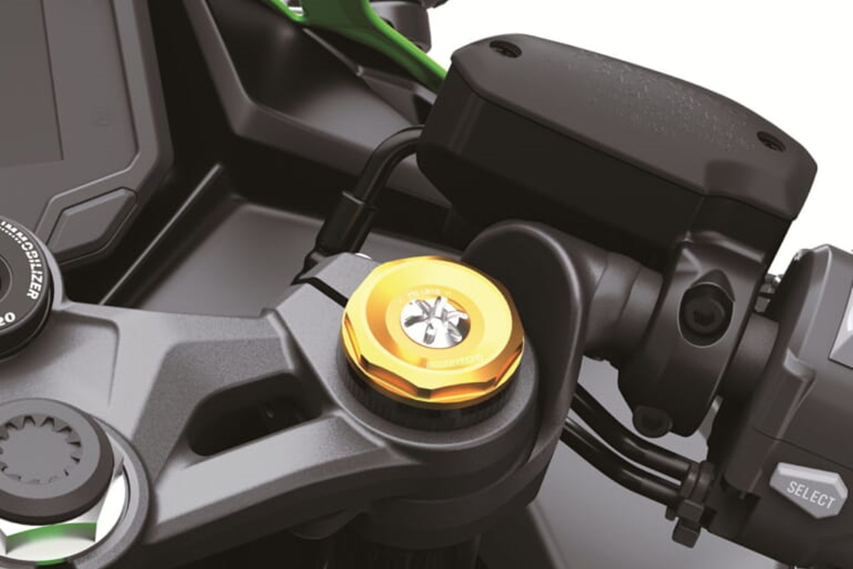 Kawasaki Ninja ZX-4R en detalle