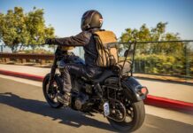 krieger_roam_2023_3