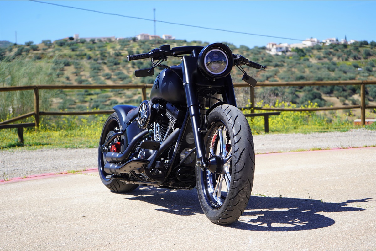 Harley Davidson Softail Deluxe "Om Tibetan"