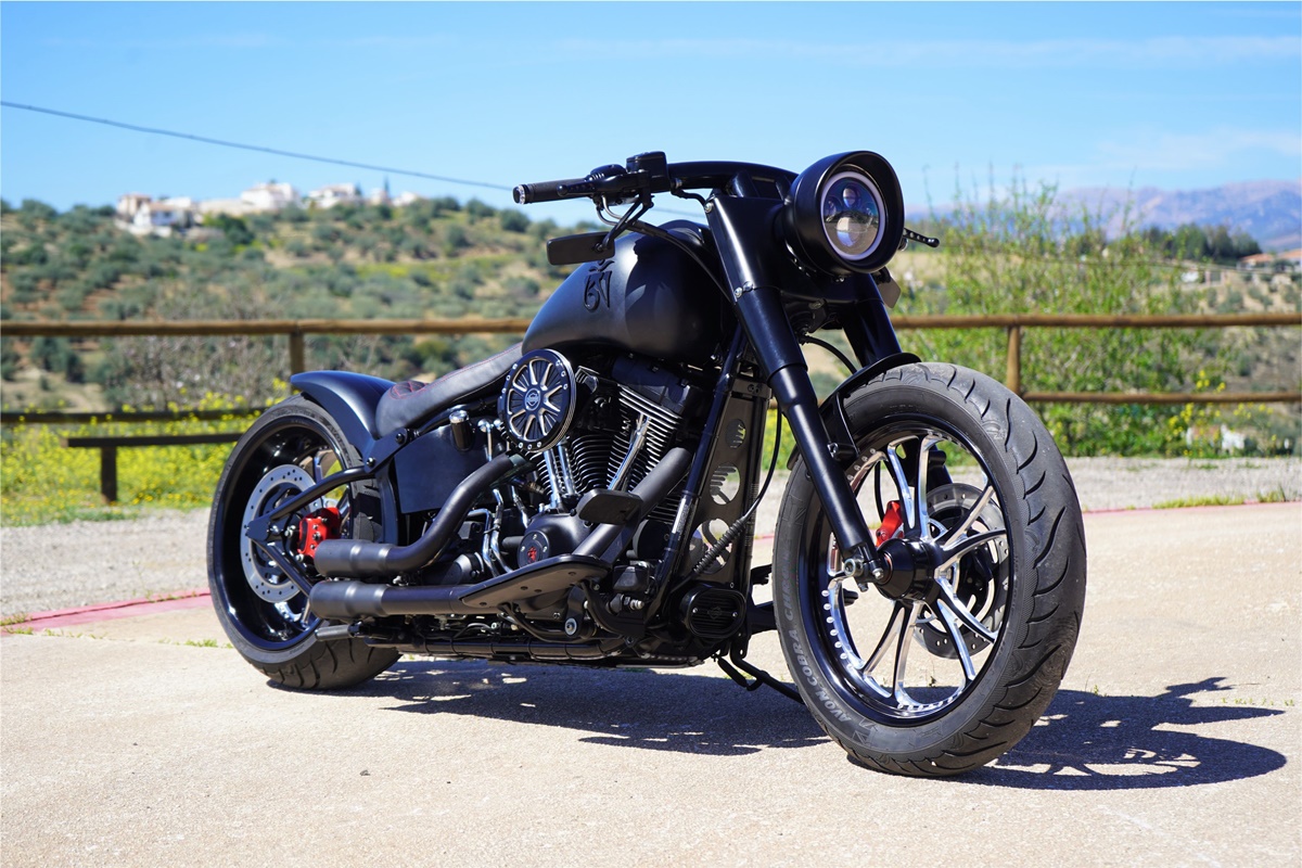 Harley Davidson Softail Deluxe "Om Tibetan"