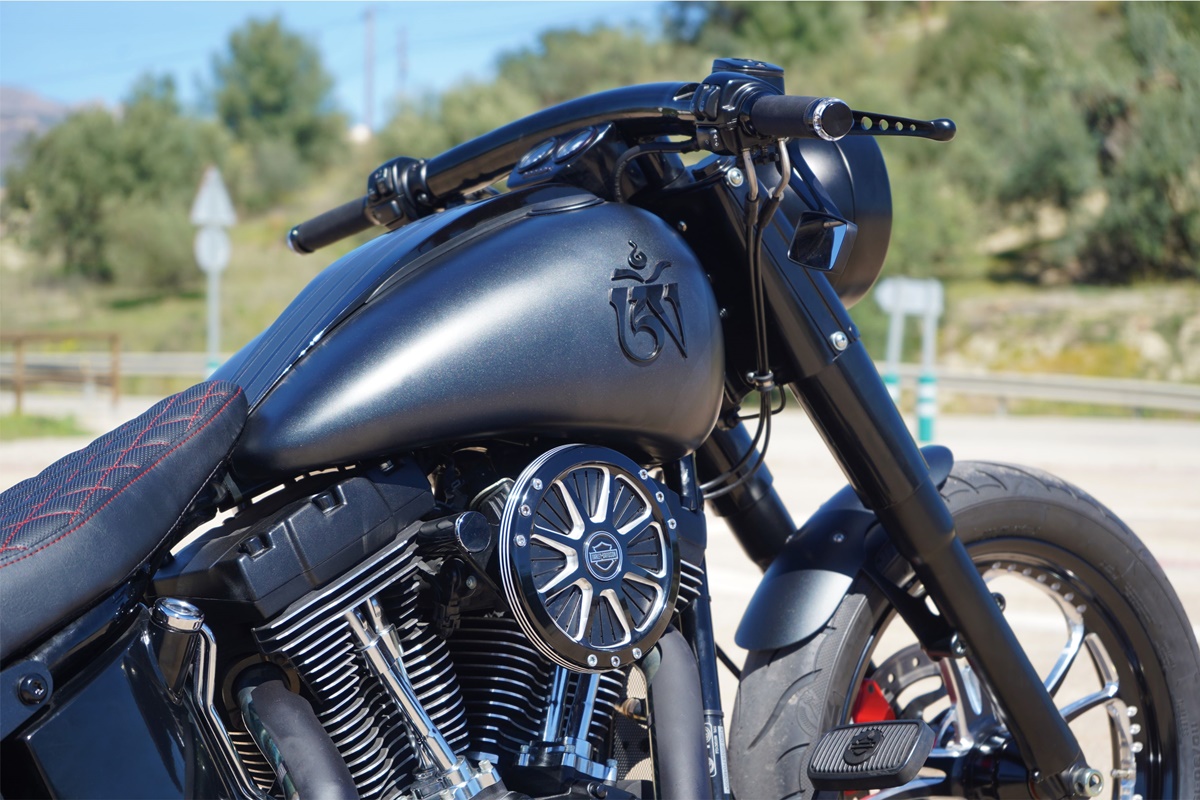 Harley Davidson Softail Deluxe "Om Tibetan" en detalle
