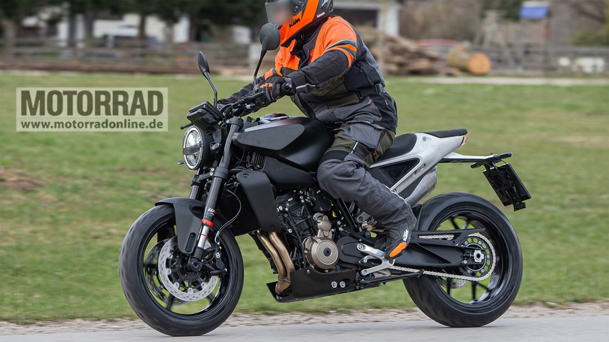 Husqvarna Vitpilen y Svartpilen 801/901 2023