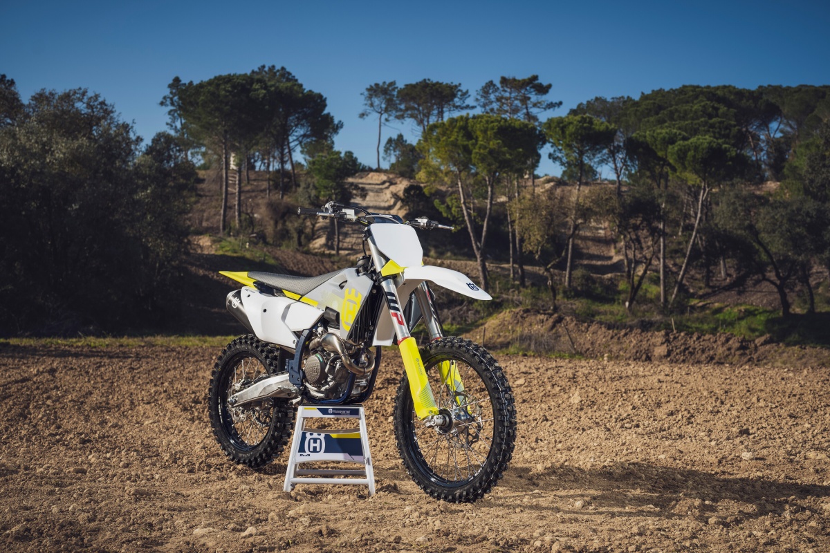 resize_fc_250_2024_3-2