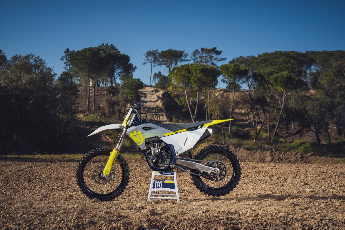 resize_fc_250_2024_5-1