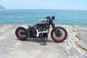 Harley-Davidson Softail Springer SDT