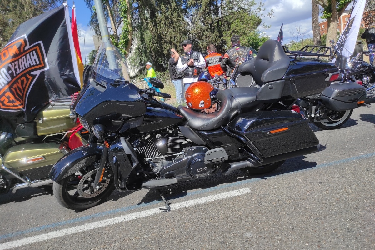 20a_concentracion_harley-davidson_km0_26