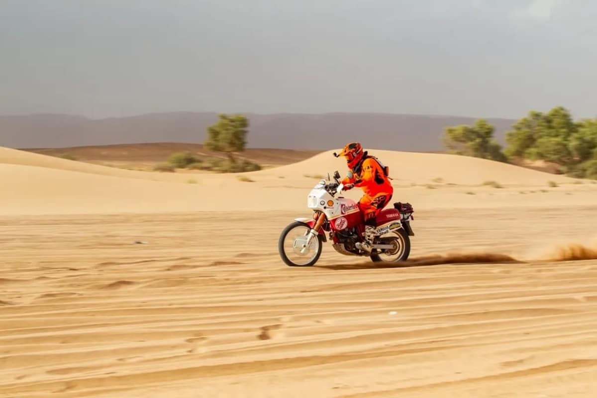 Imágenes de la 5ª edición de "The SandRaiders"
