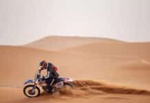Imágenes de la 5ª edición de "The SandRaiders"