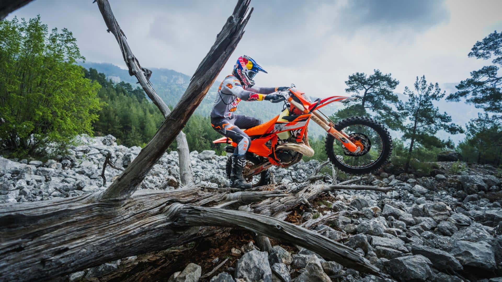 KTM 300 EXC Hardenduro 2024