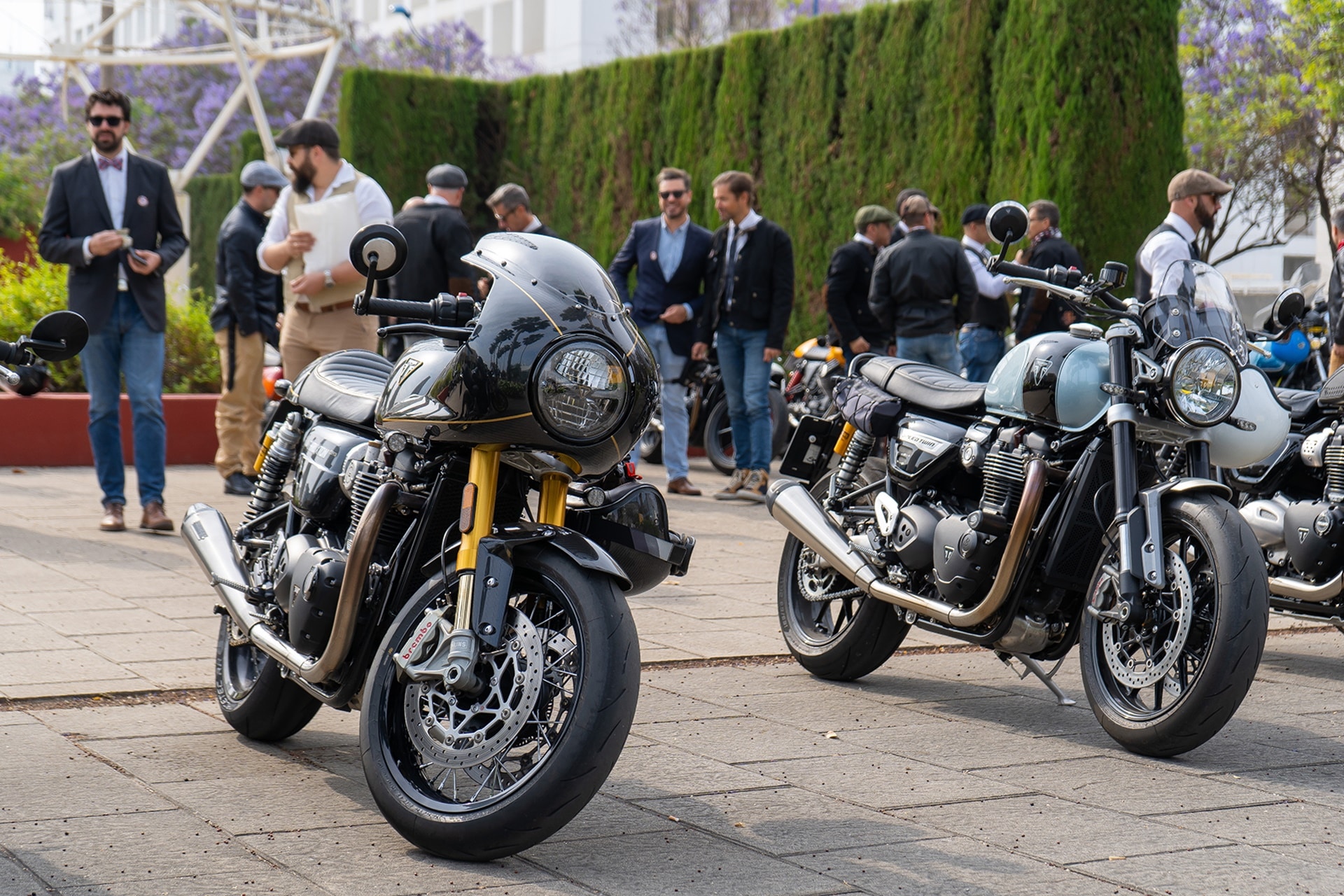 DGR 2023