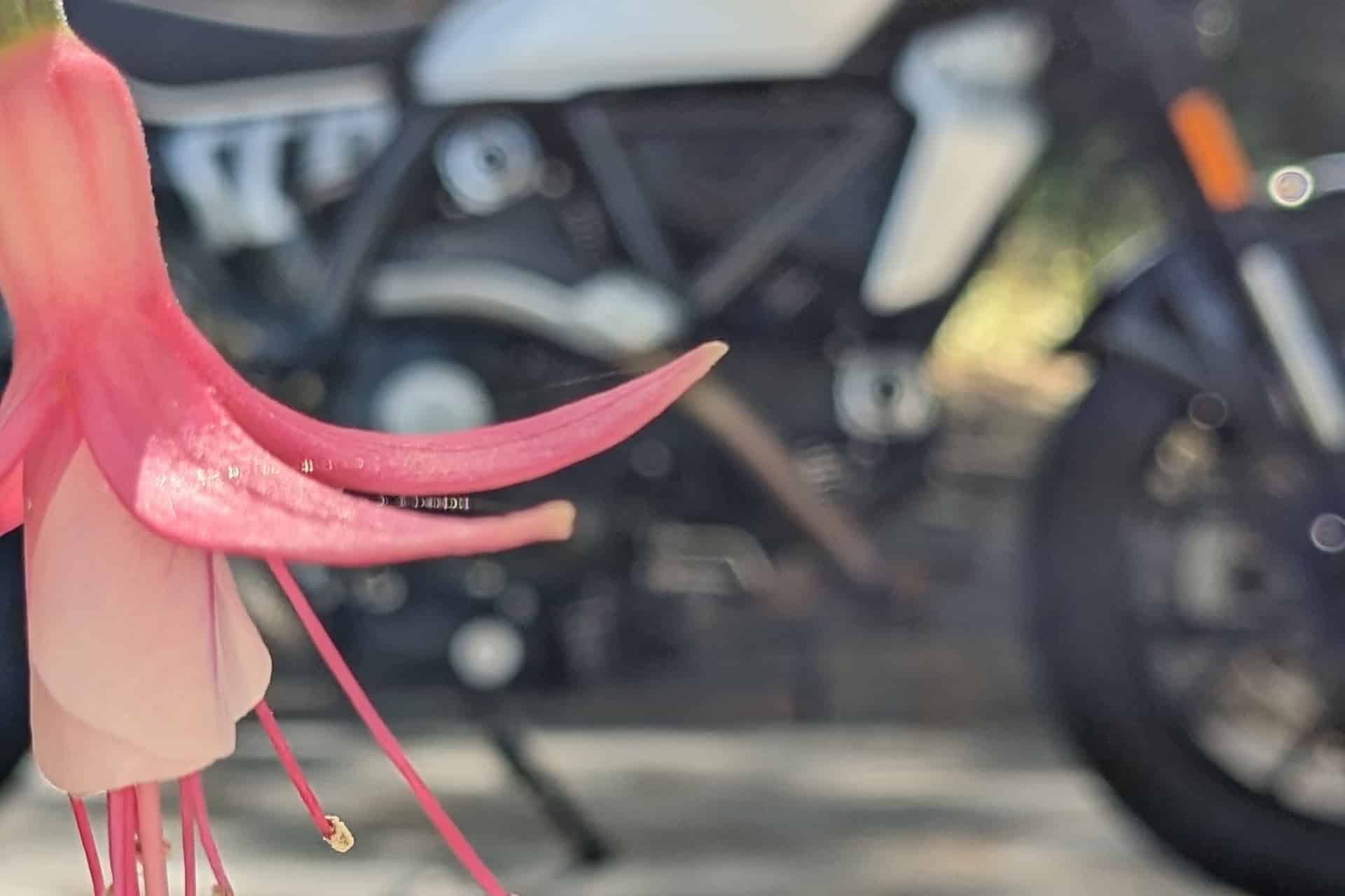 Ducati Scrambler Next Gen 2023