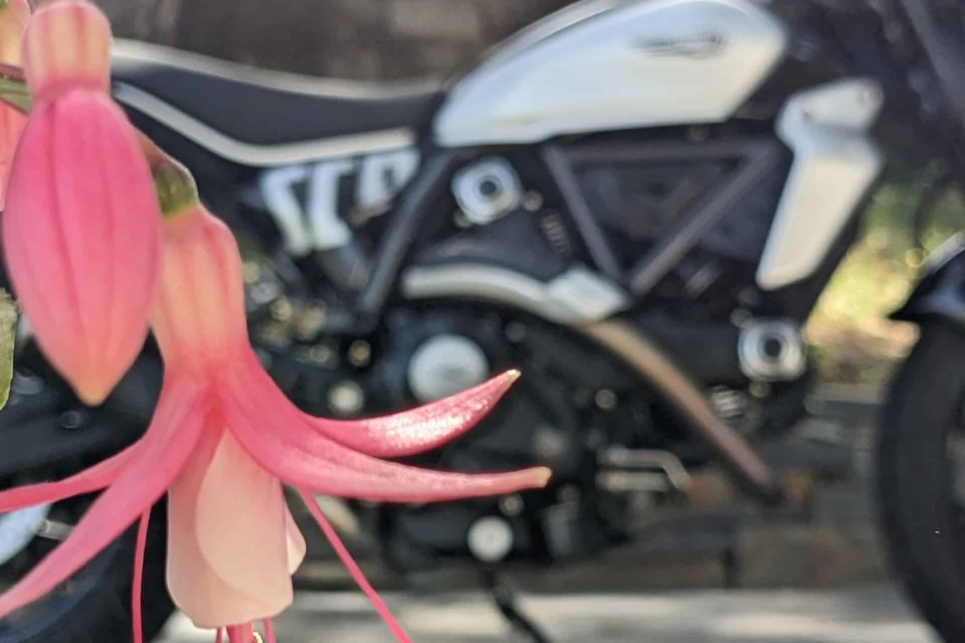 Ducati Scrambler Next Gen 2023