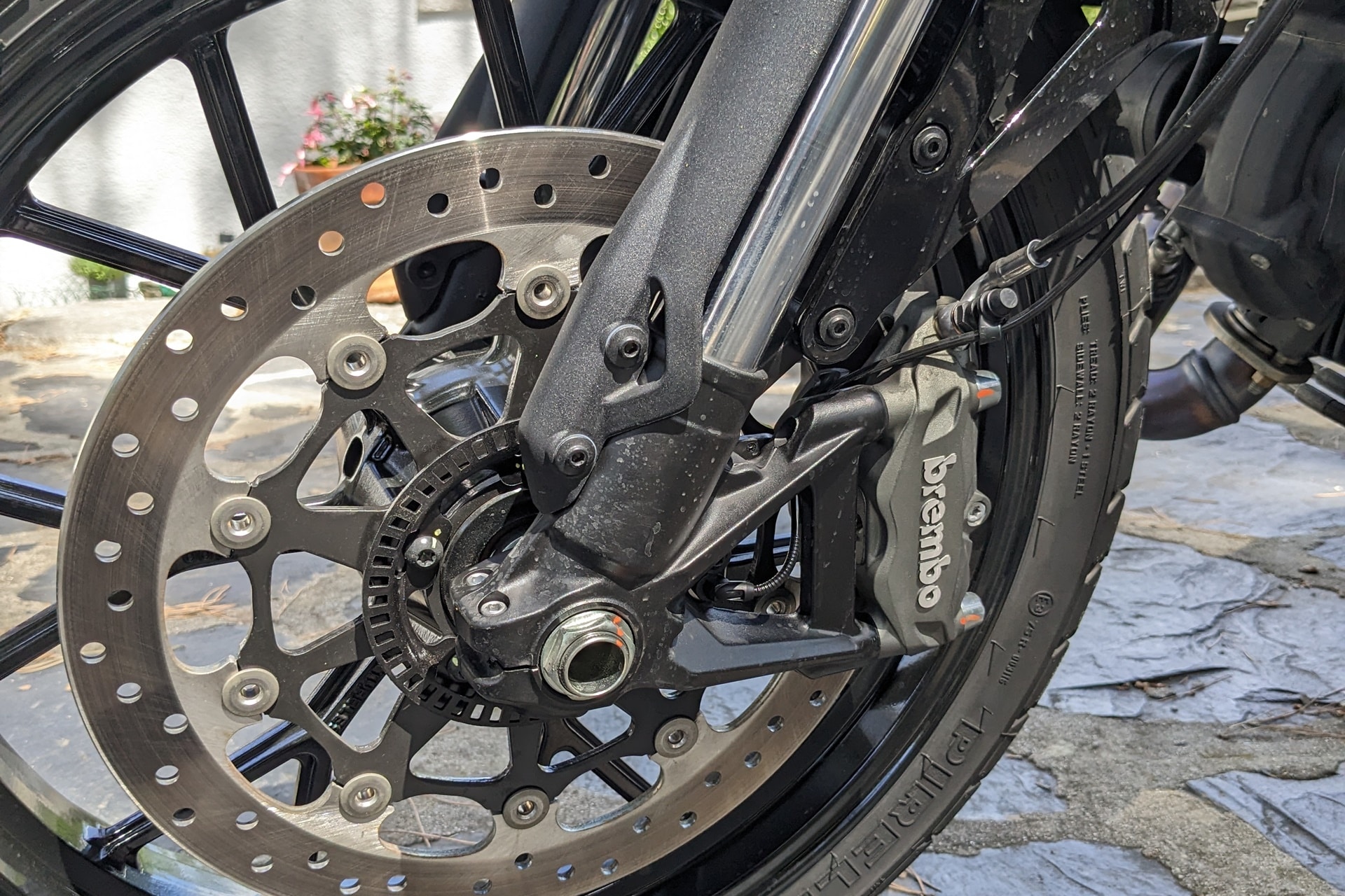 Ducati Scrambler Next Gen 2023