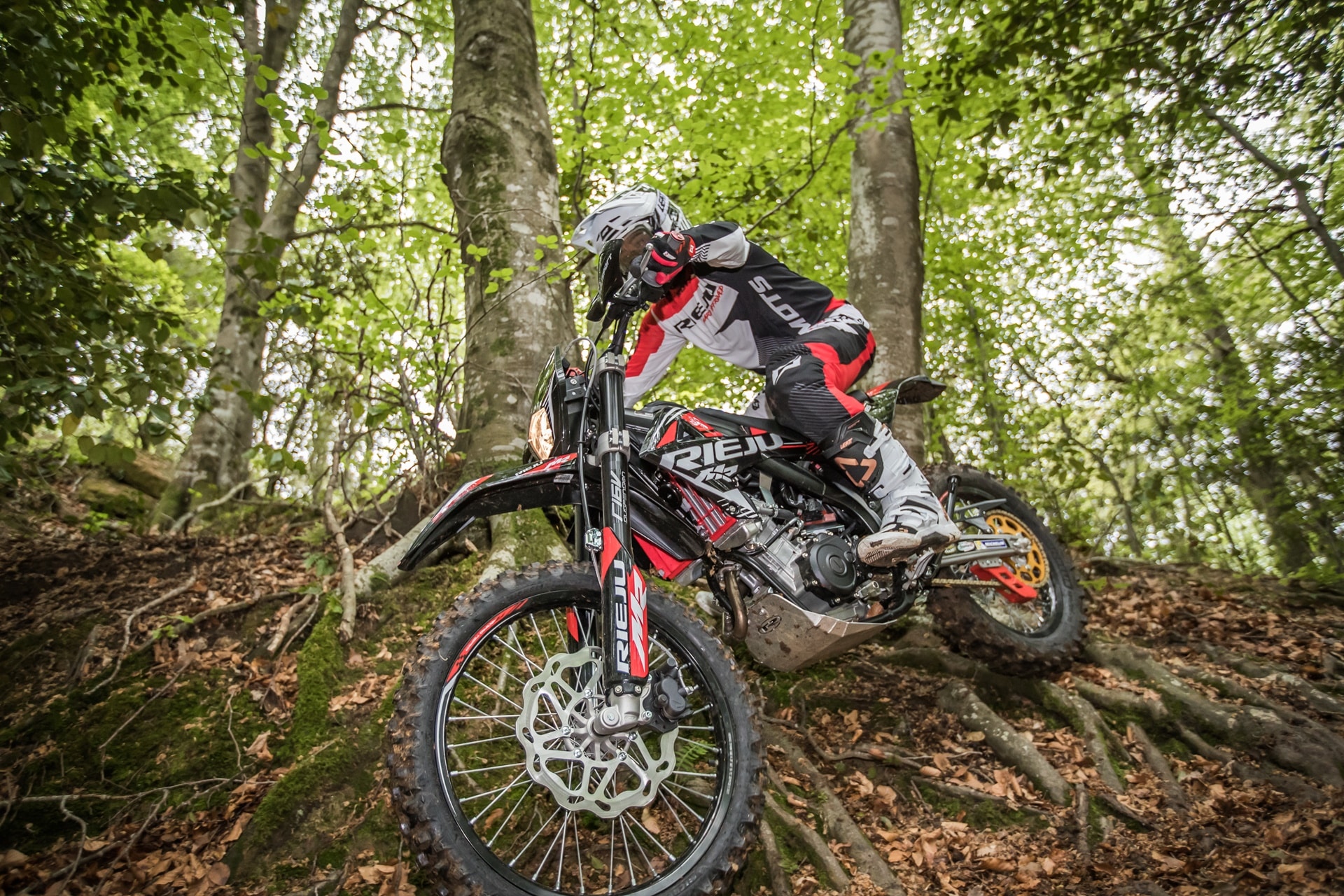 Rieju MR PRO 125