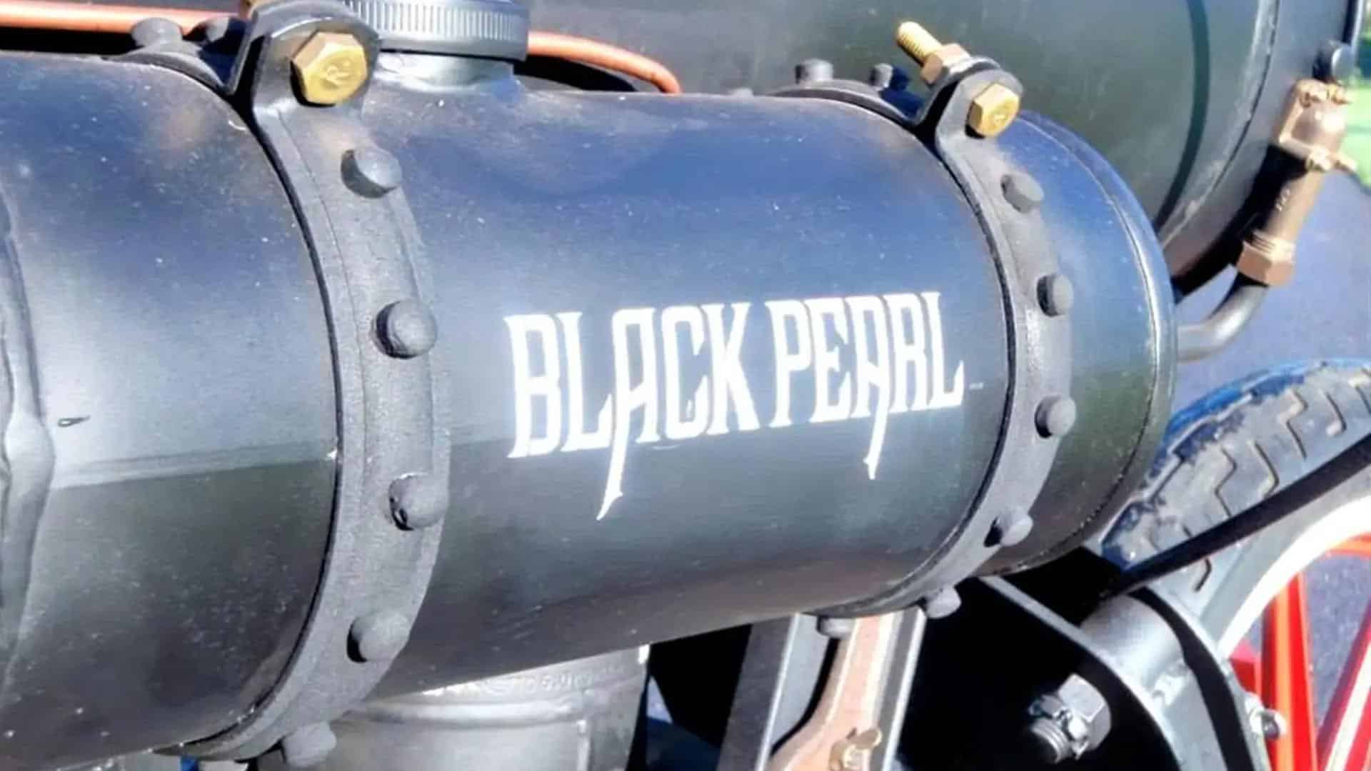 Revatu Black Pearl