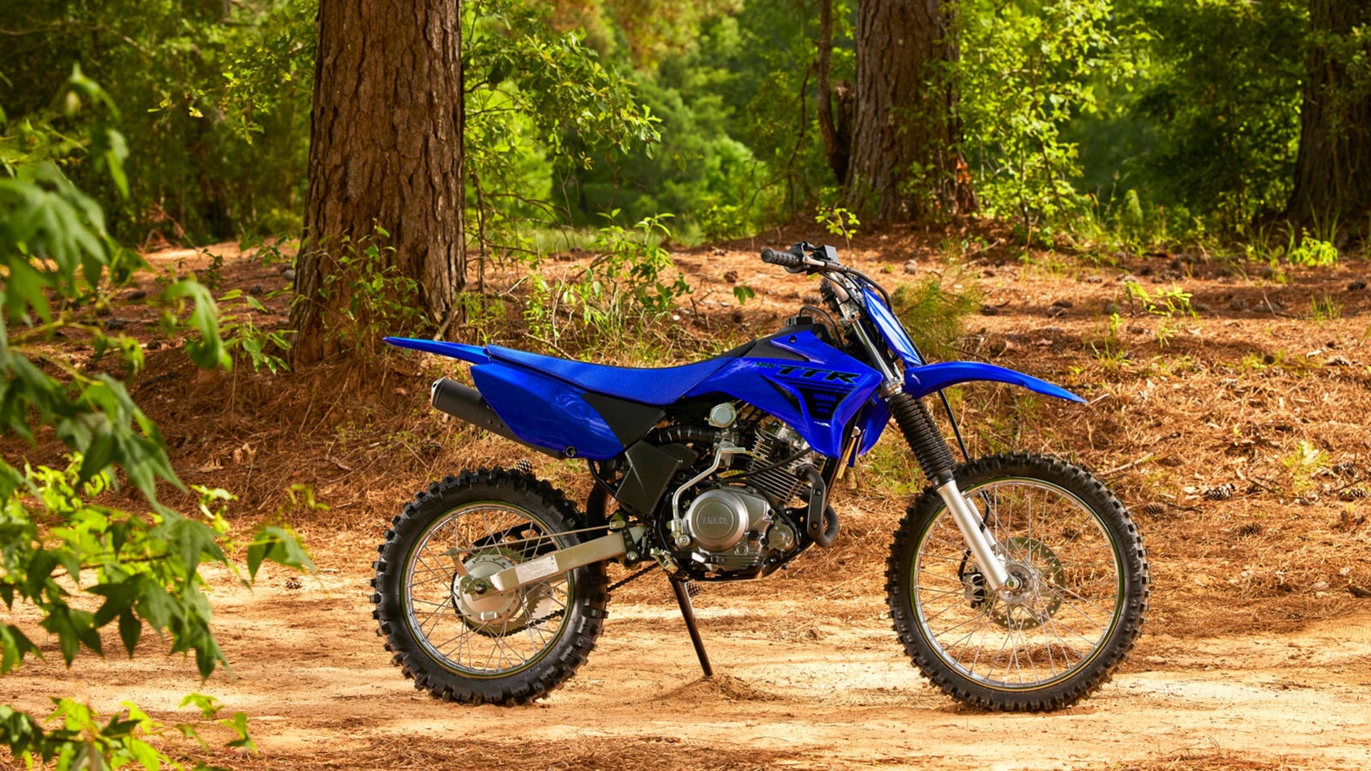 Gama Yamaha MX 2024: 50 años en la competición