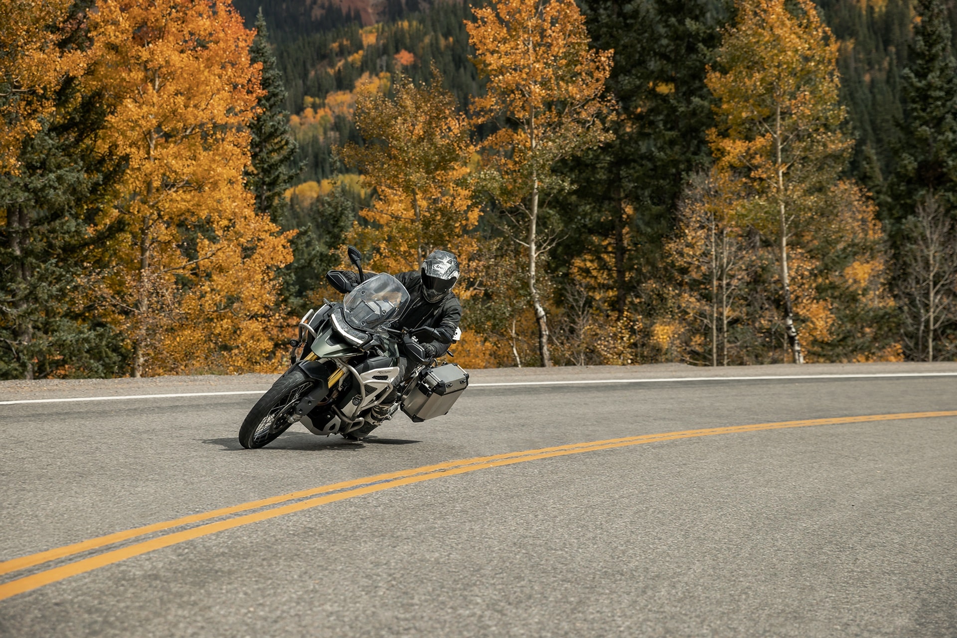 Estrena una Triumph este verano a un precio sinigual