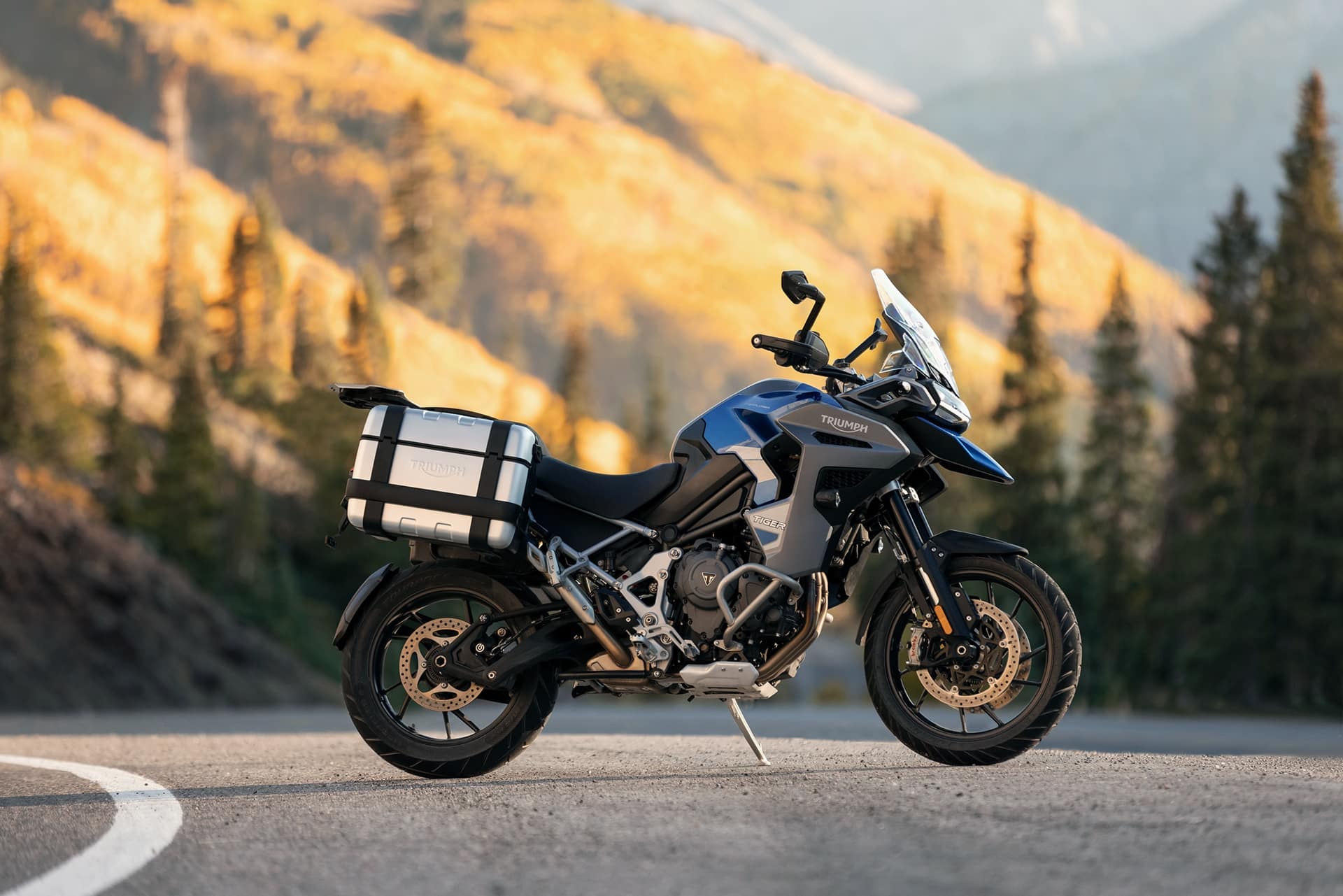 Estrena una Triumph este verano a un precio sinigual