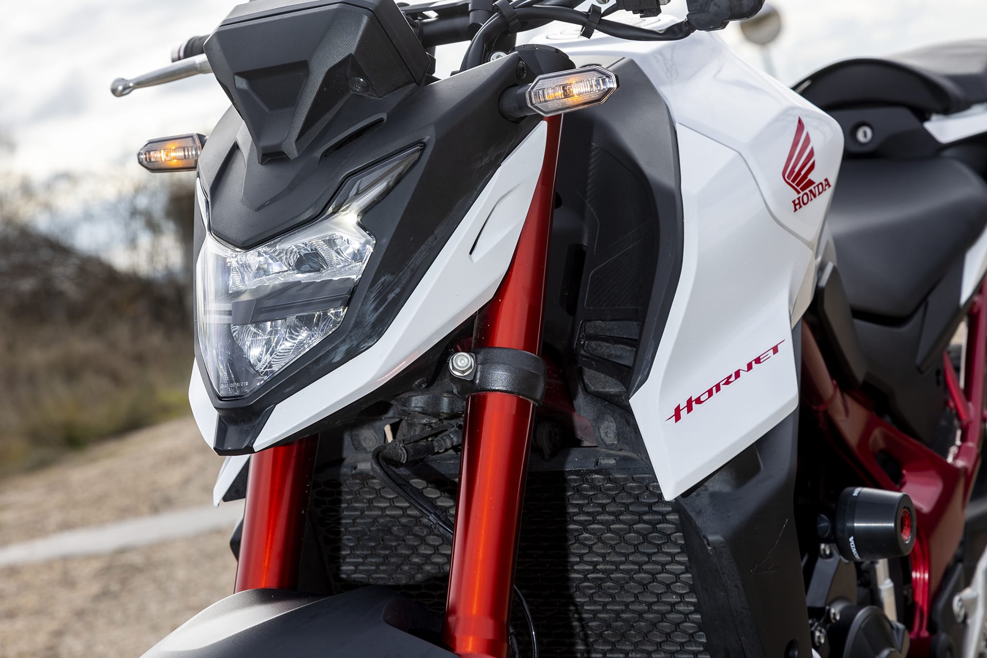 Comparativa Suzuki GSX8S / Honda CB750 Hornet