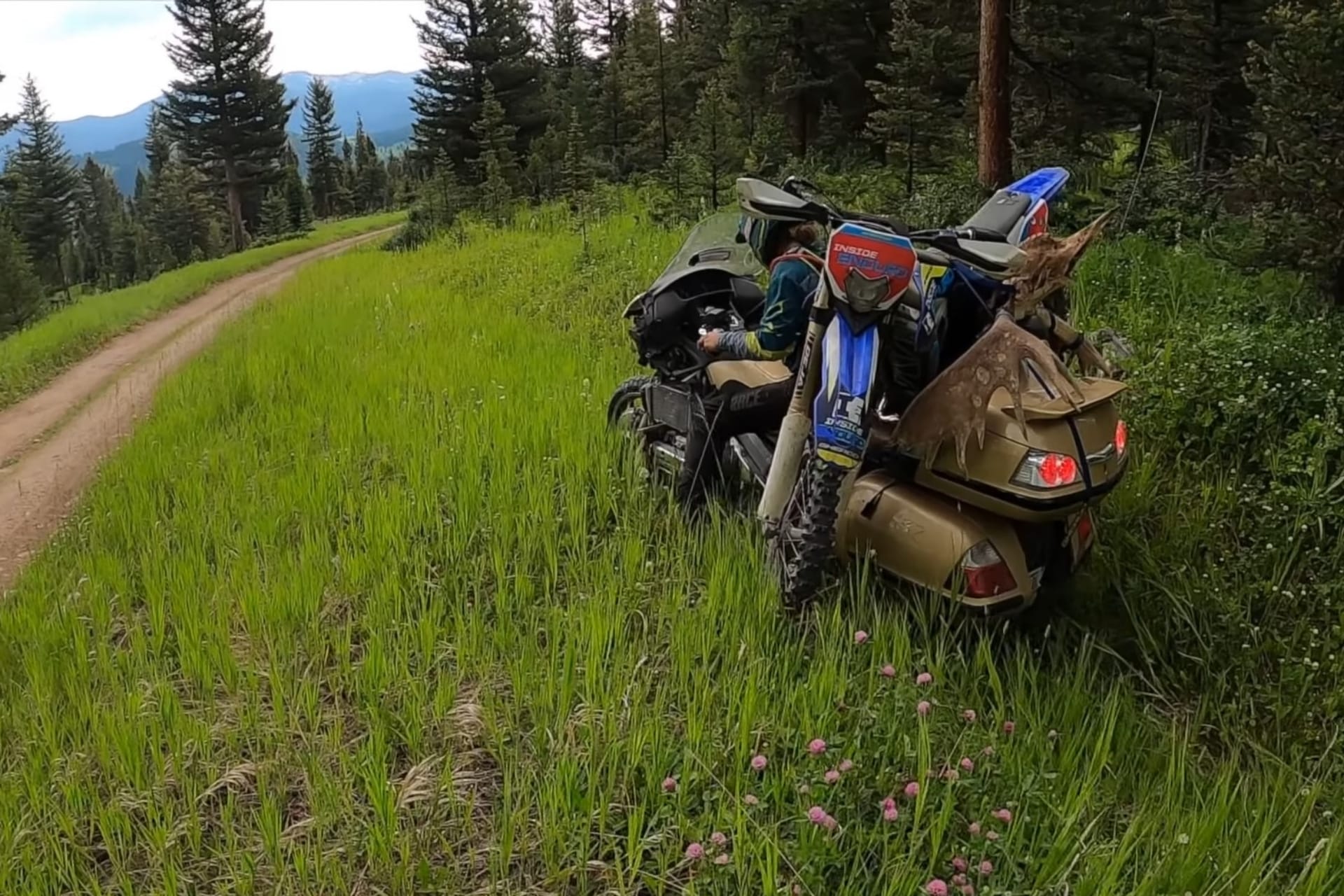 Honda Goldwing Matt Spears