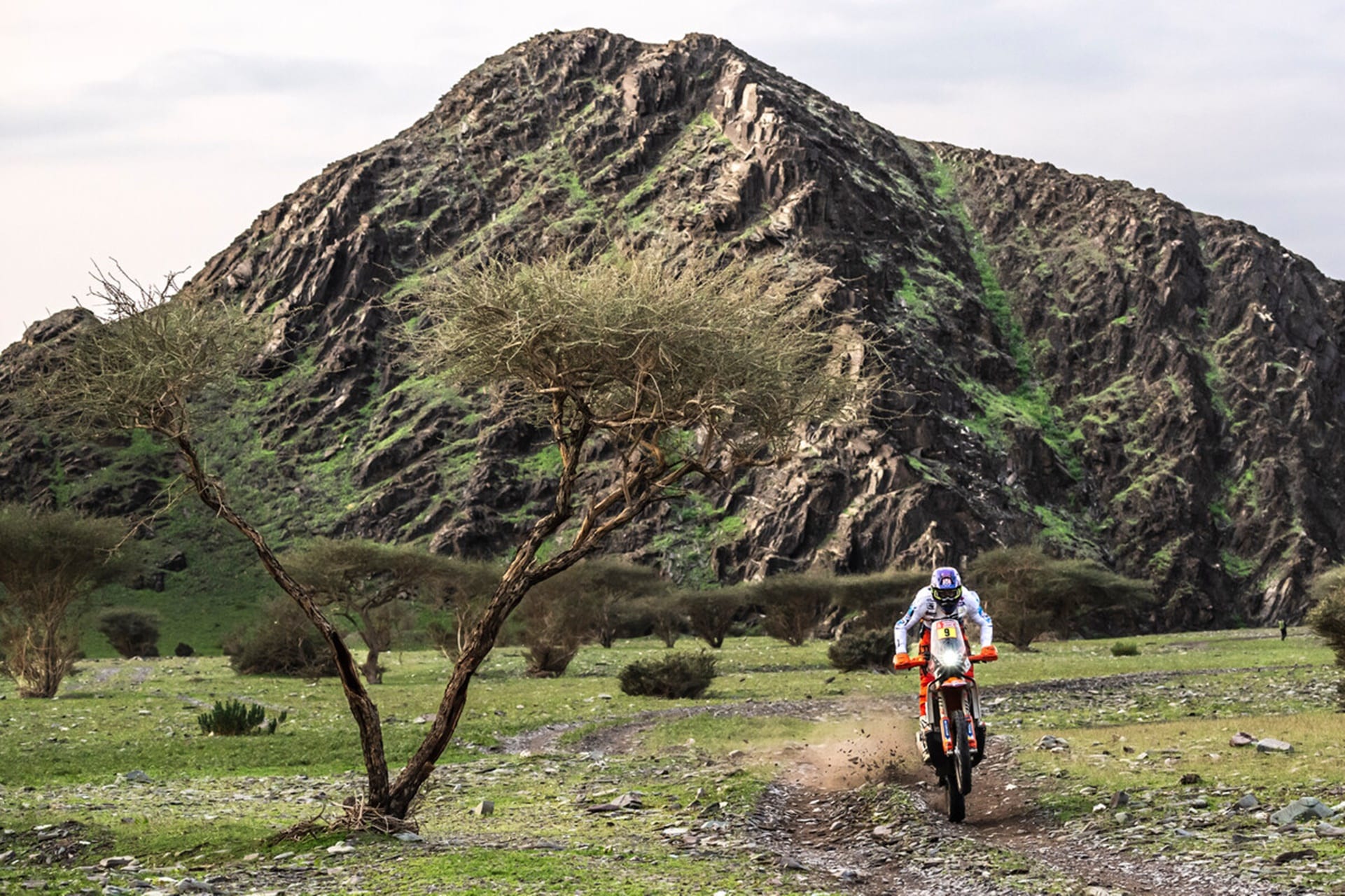 KTM 450 Rally Replica 2024: Destinada a los más exigentes