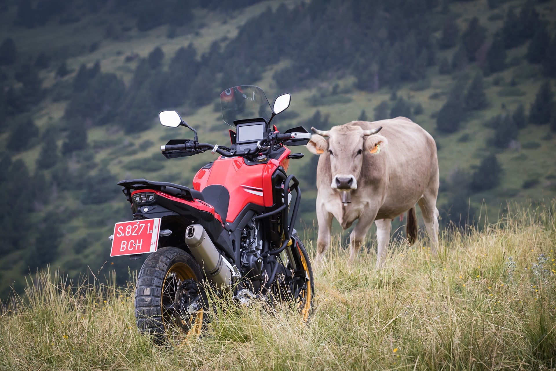 Rieju Aventura 500 2023