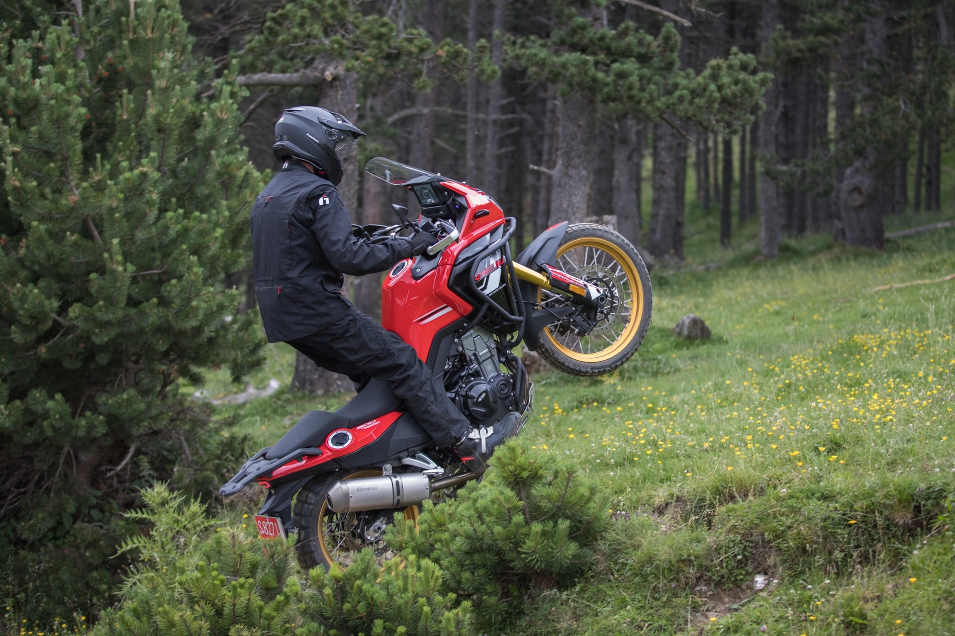 Rieju Aventura 500 2023