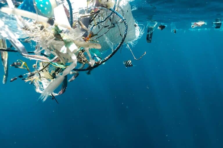 Suzuki utiliza su tecnología para identificar microplásticos en el mar