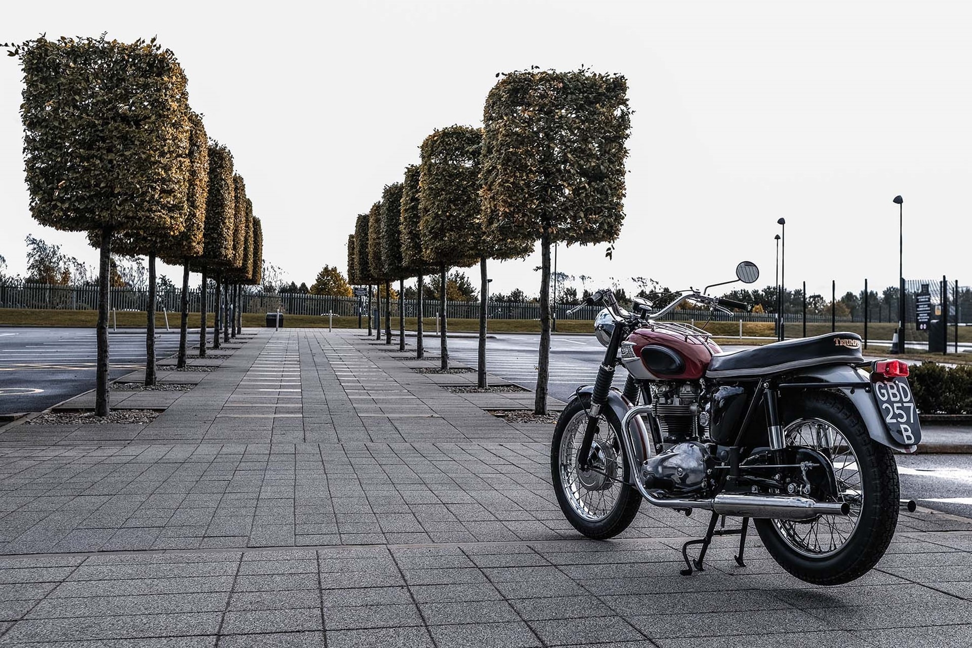 Triumph a la búsqueda de las 9 Triumph de Elvis Presley