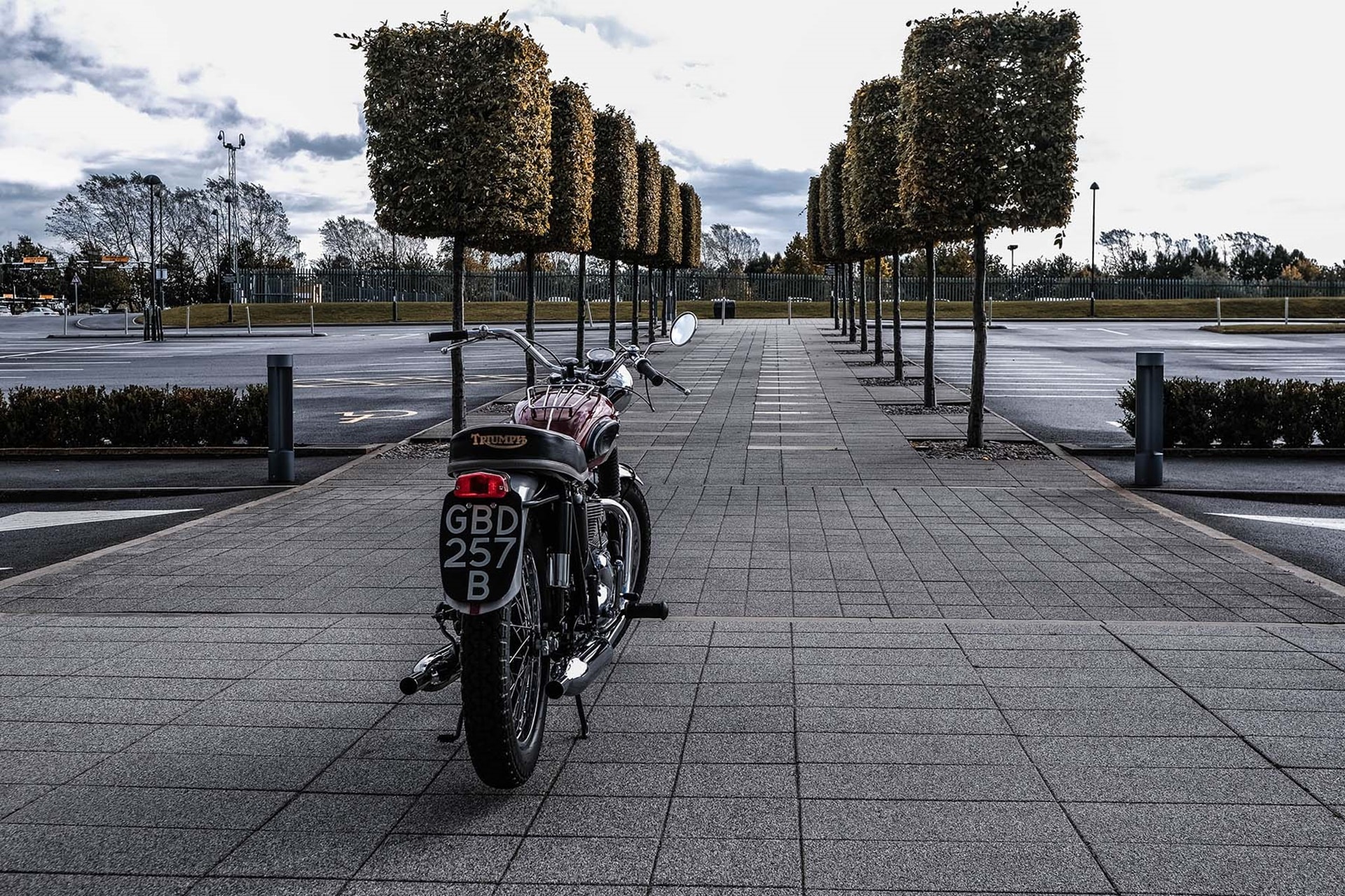 Triumph a la búsqueda de las 9 Triumph de Elvis Presley