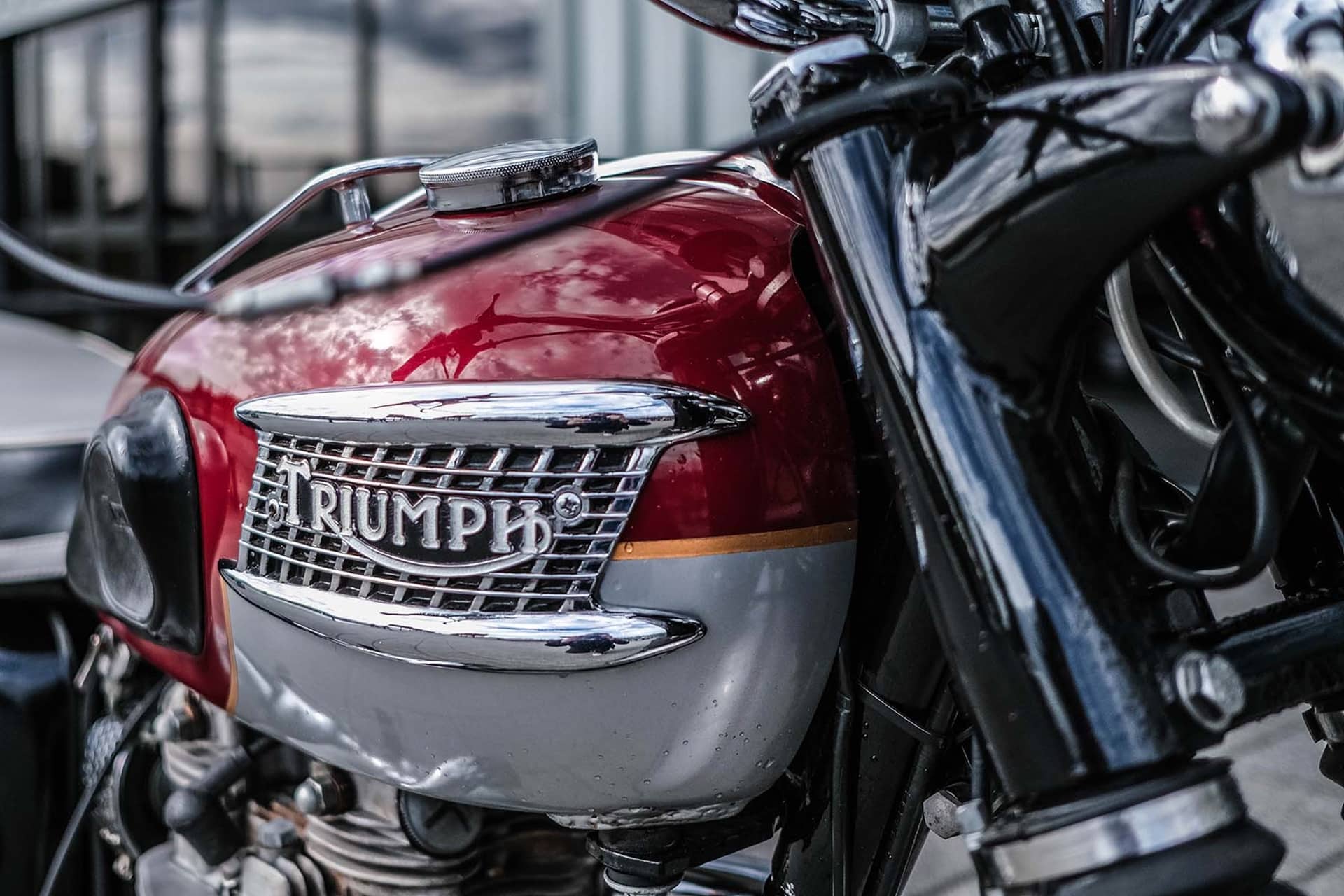 Triumph a la búsqueda de las 9 Triumph de Elvis Presley