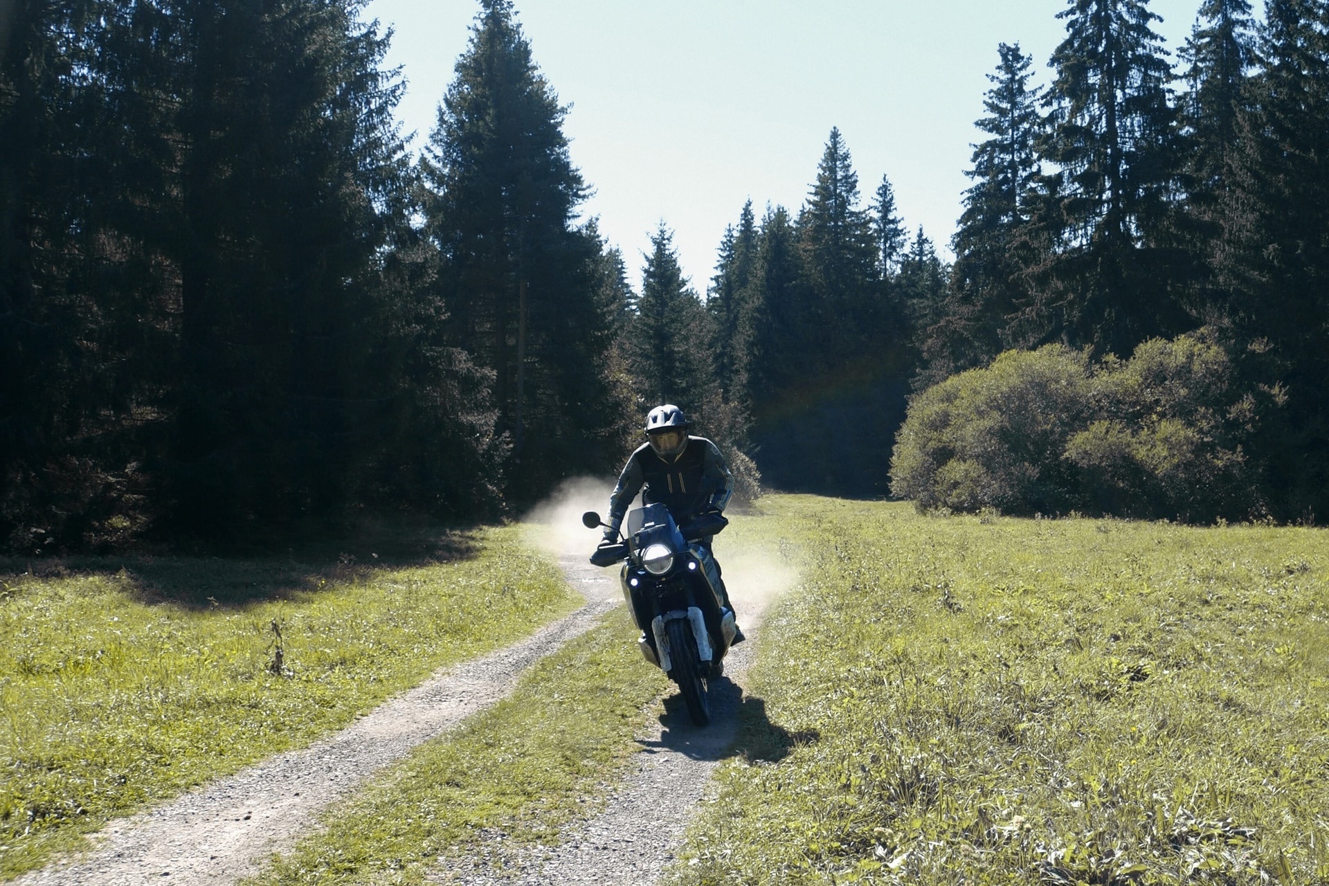 Husqvarna Norden 901 2024
