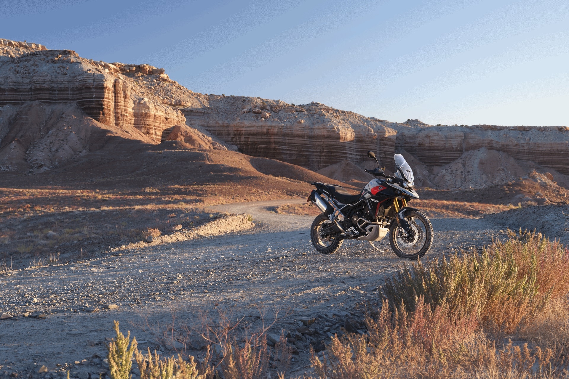 Triumph Tiger 900 Rally Pro