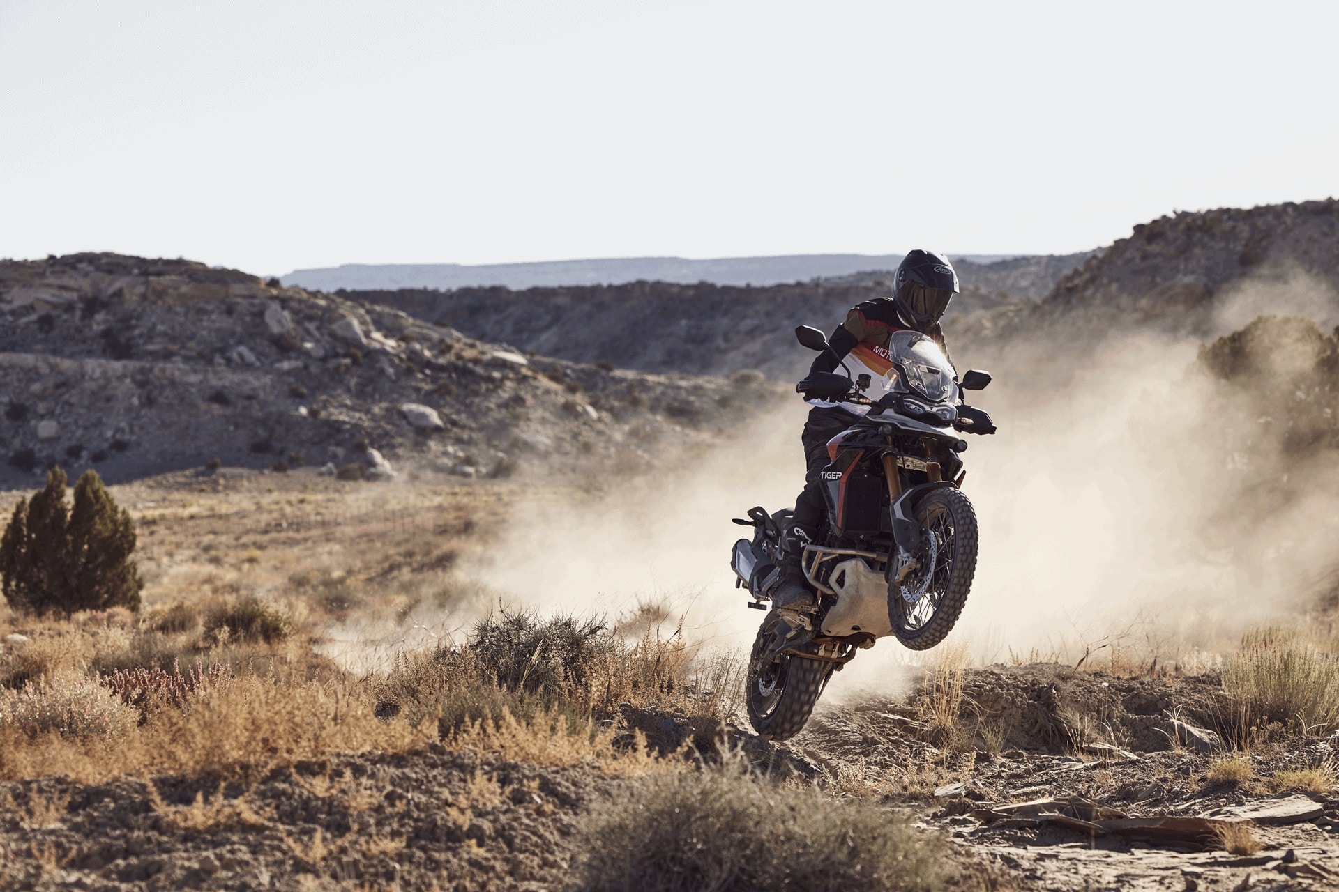 Triumph Tiger 900 Rally Pro