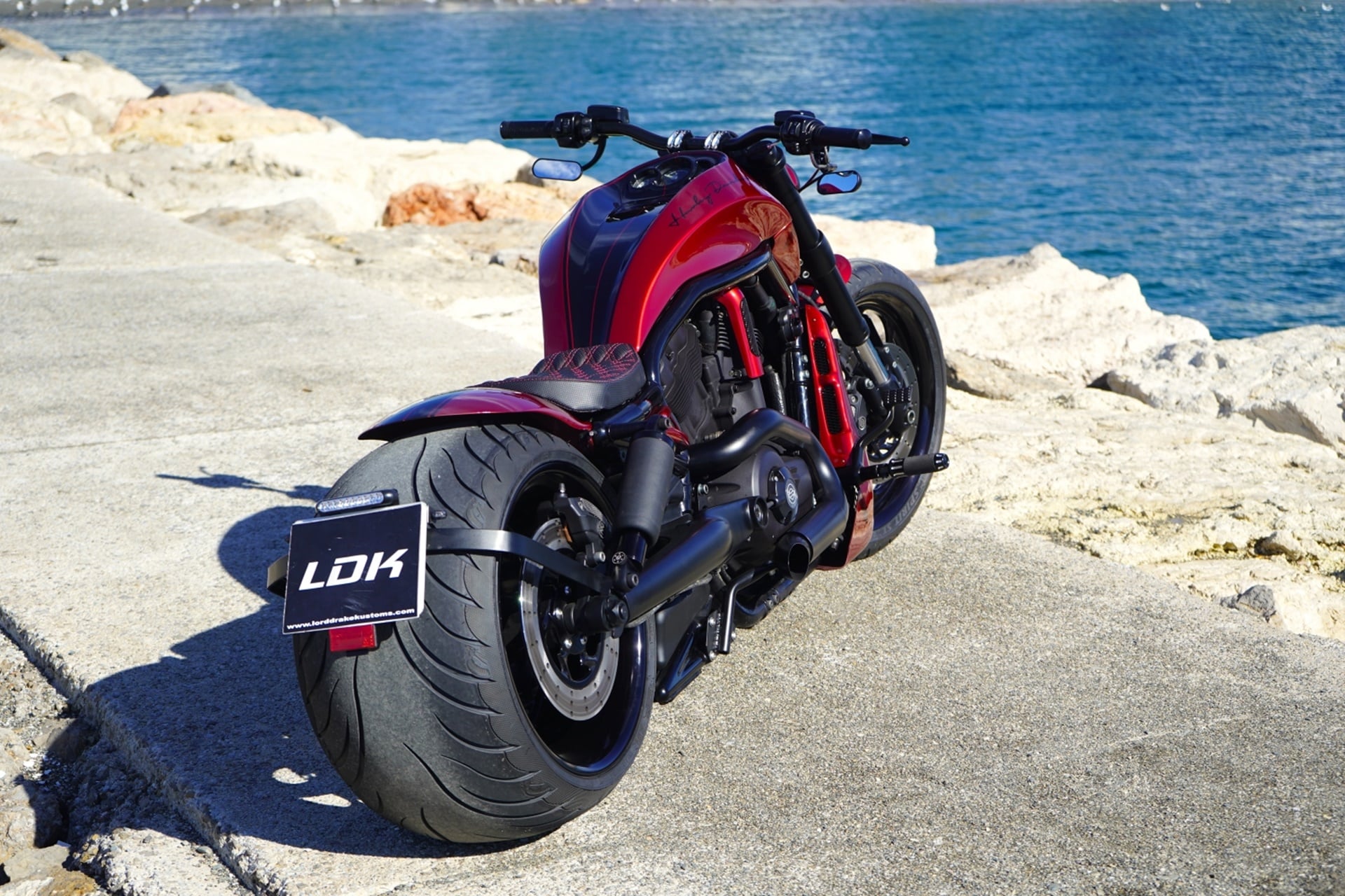 Muscle 330: Asi es el último proyecto "Harley Vrod" obra de LDK