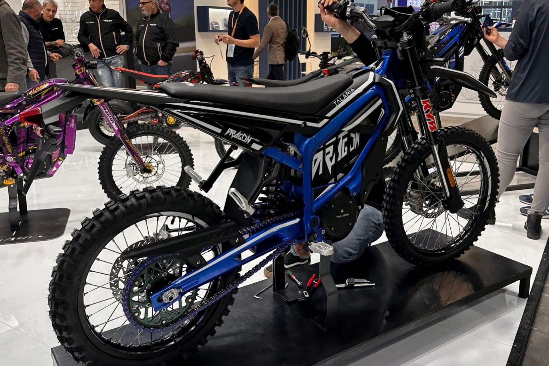 Talaria Dragon 2024