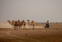 África Eco Race 2024: Aprilia debuta con victoria
