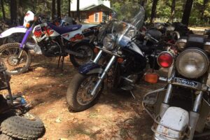 Más de 4.000 motocicletas clásicas se mimetizan con la naturaleza en este desguace de Alabama