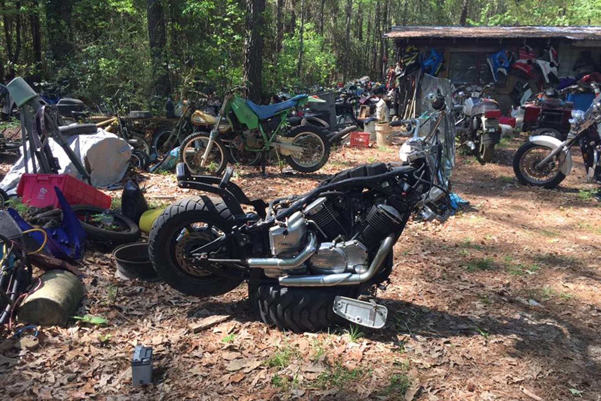 Más de 4.000 motocicletas clásicas se mimetizan con la naturaleza en este desguace de Alabama