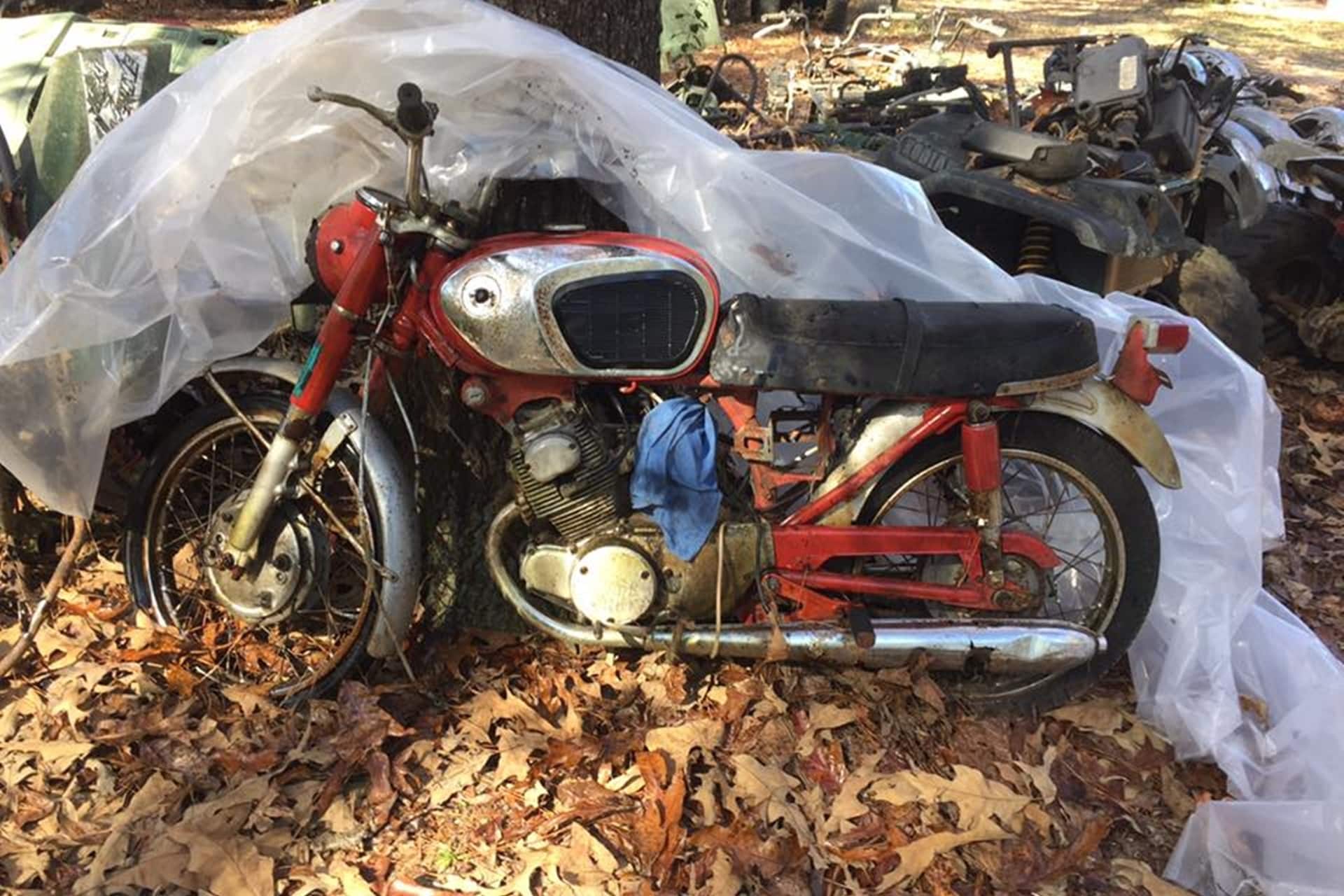 Más de 4.000 motocicletas clásicas se mimetizan con la naturaleza en este desguace de Alabama