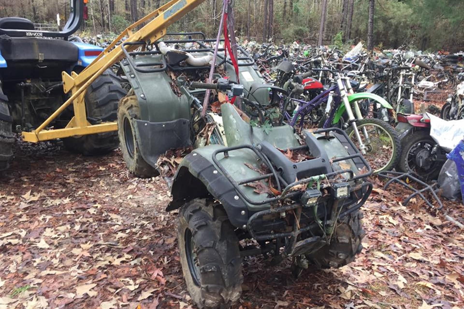 Más de 4.000 motocicletas clásicas se mimetizan con la naturaleza en este desguace de Alabama