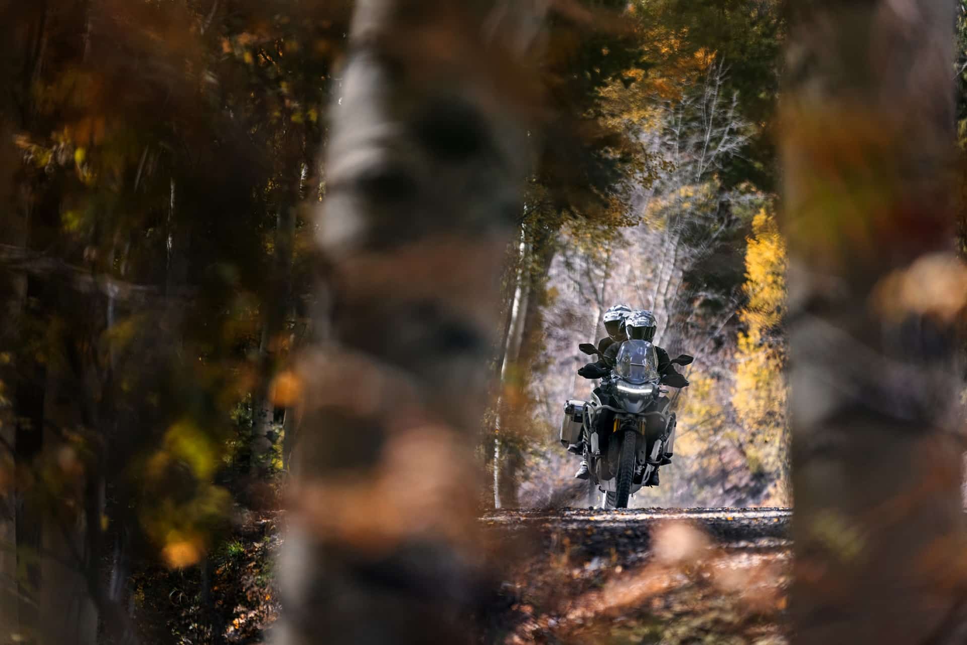 "La cuesta de enero" mejor sobre una Triumph Tiger 1200 Rally, ahora con 2.500 euros de descuento