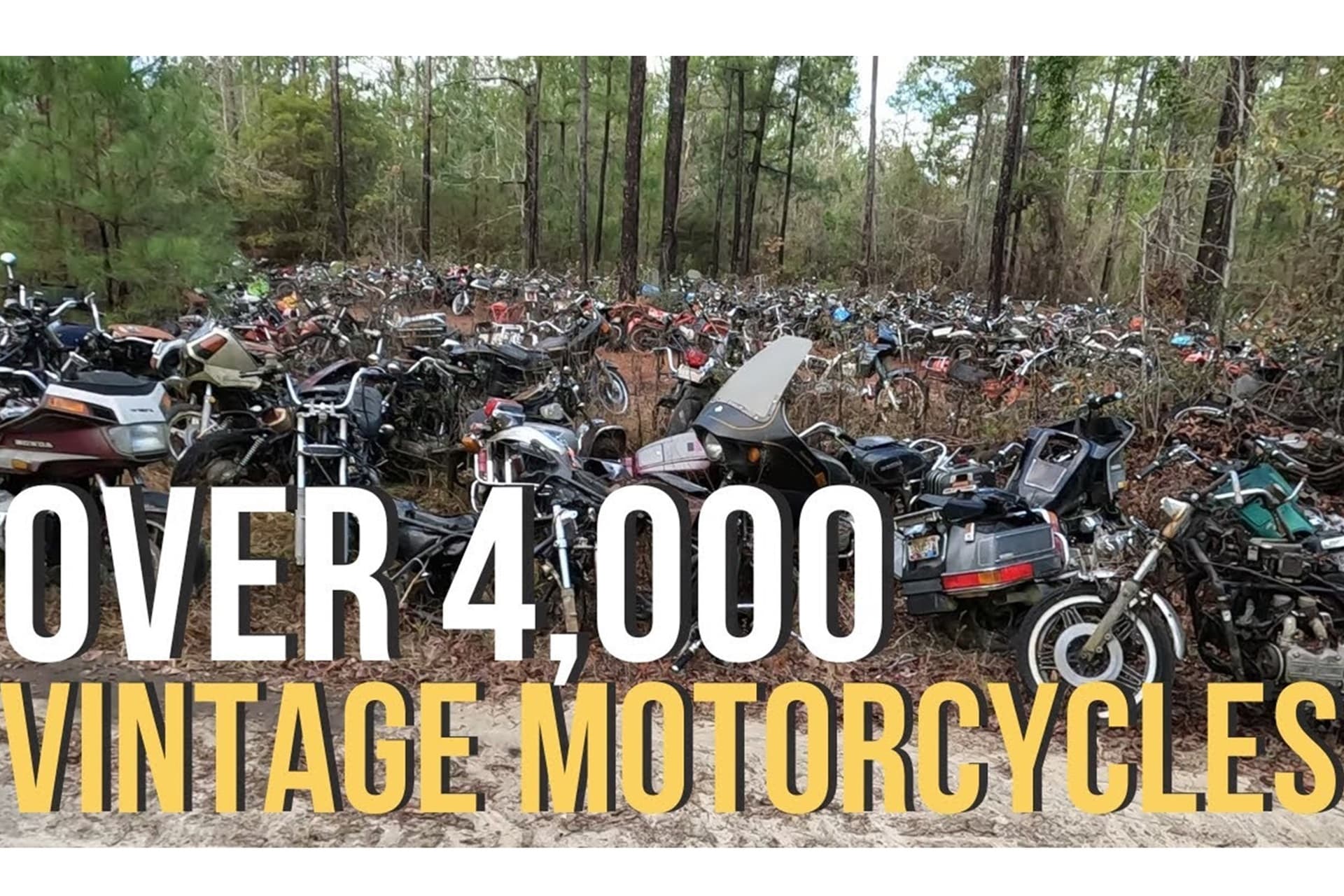 Más de 4.000 motocicletas clásicas se mimetizan con la naturaleza en este desguace de Alabama