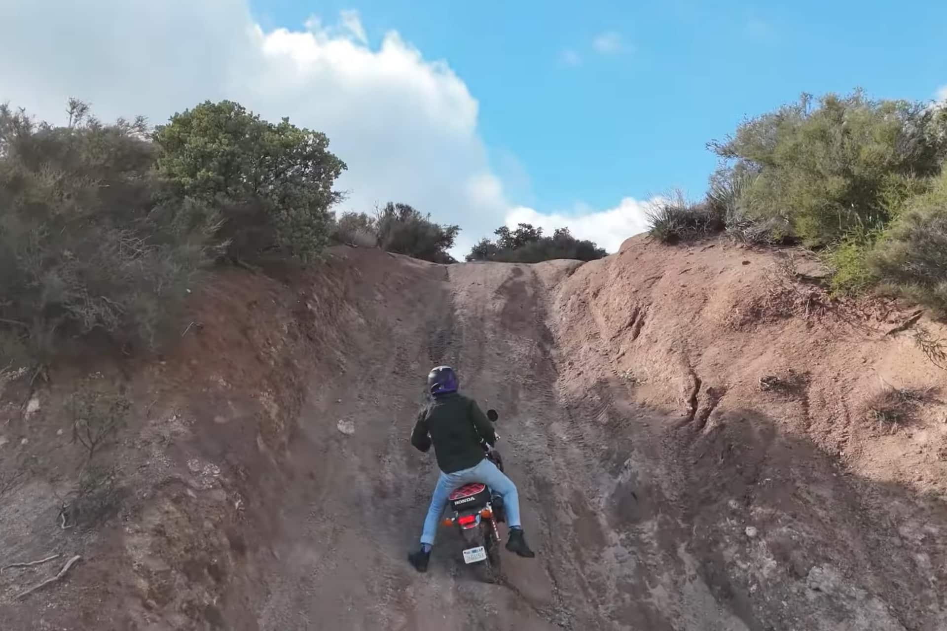 Honda Monkey 125