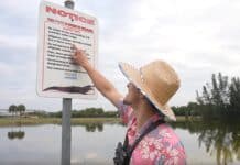 El cartel era claro, las cosas podían ponerse feas, pero ¿a quién le importa?