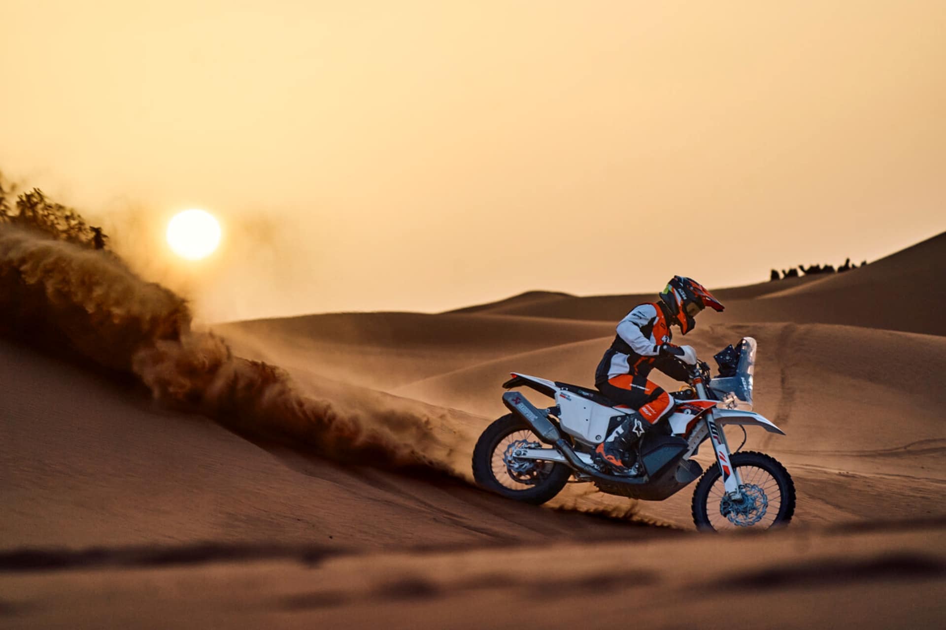 KTM 450 Rally Replica 2025