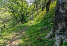 Y, después del asfalto, les espera el campo