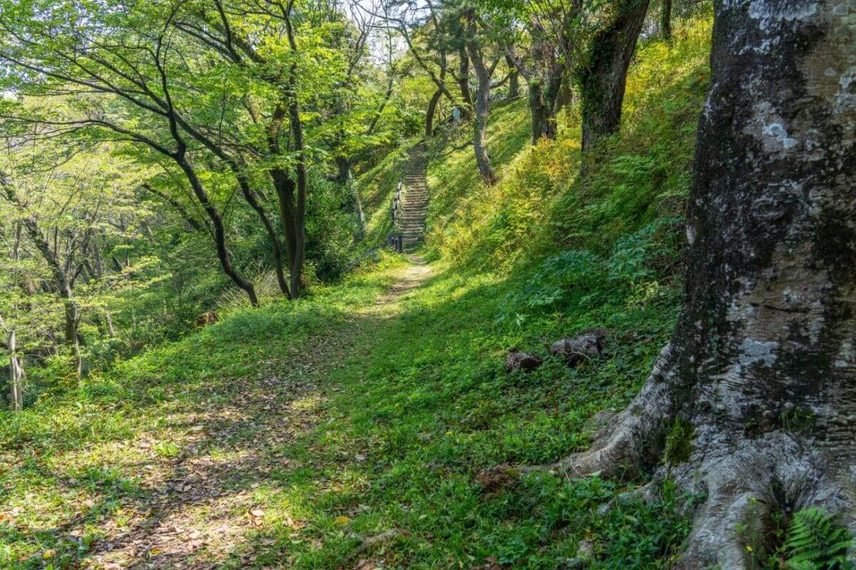 Y, después del asfalto, les espera el campo